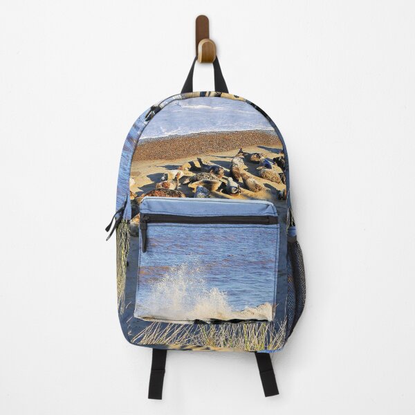 Item preview, Seal Beach designed and sold by ScenicViewPics.