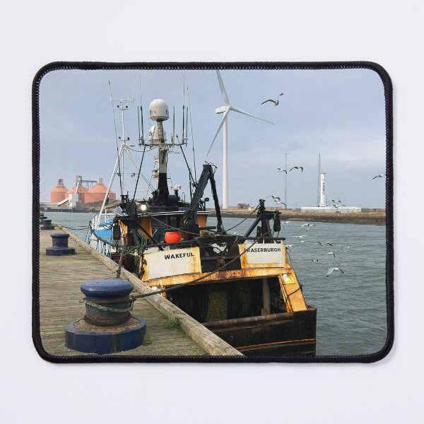 Item preview, Seagulls after an easy meal designed and sold by Violaman.