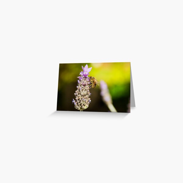 Working Bee Greeting Card