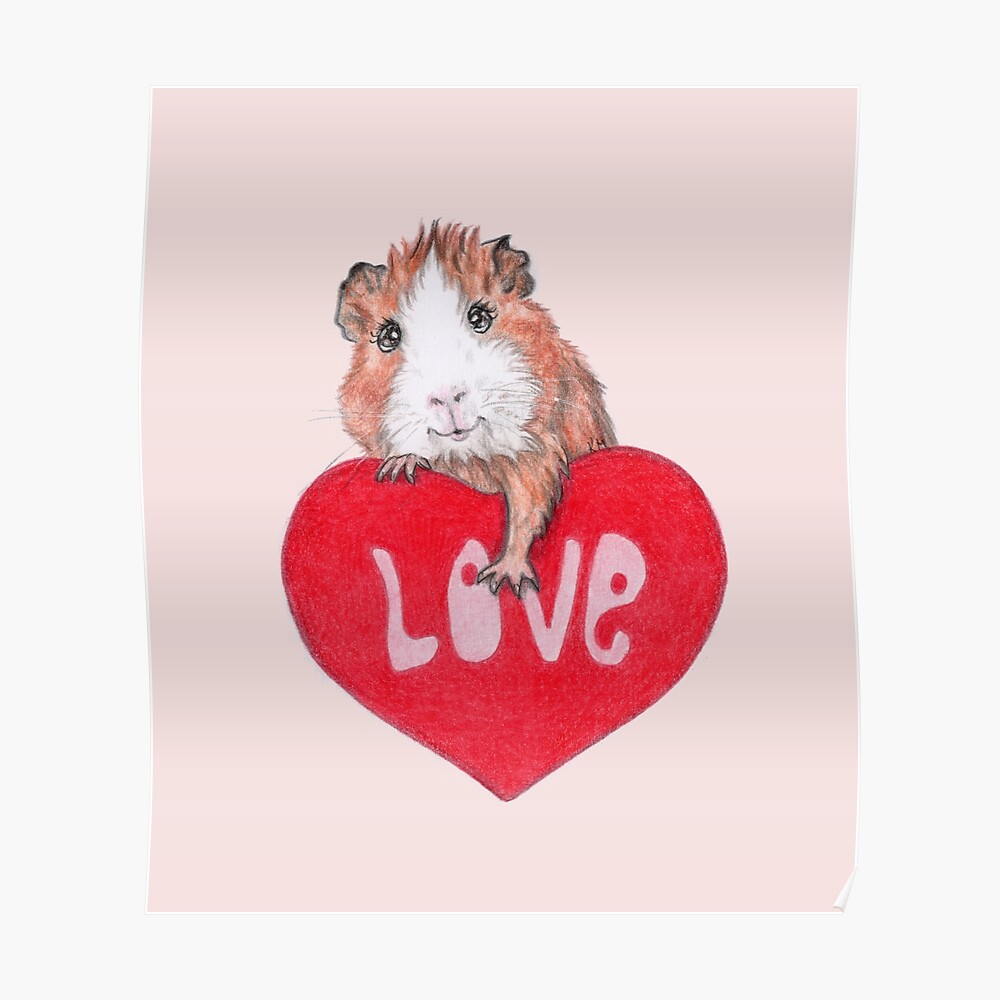 Guinea Pig Pair Pet Animal  #45261 2 x Heart Stickers 10 cm 