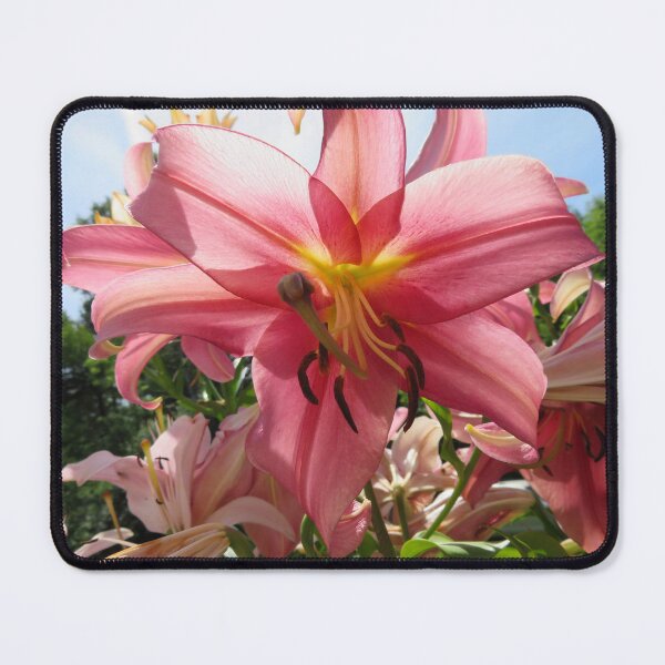 Item preview, Pink Lily in Bloom designed and sold by SillaHoekstra.