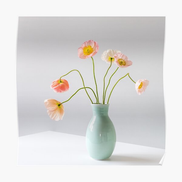 Soft pink poppies Poster