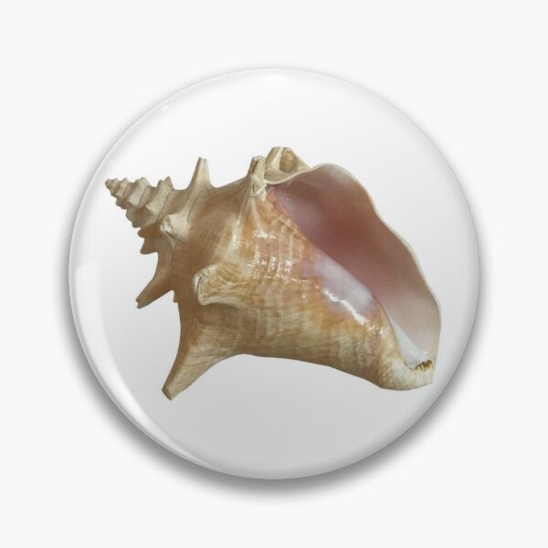 Item preview, conch shell designed and sold by tulsajesusfreak.