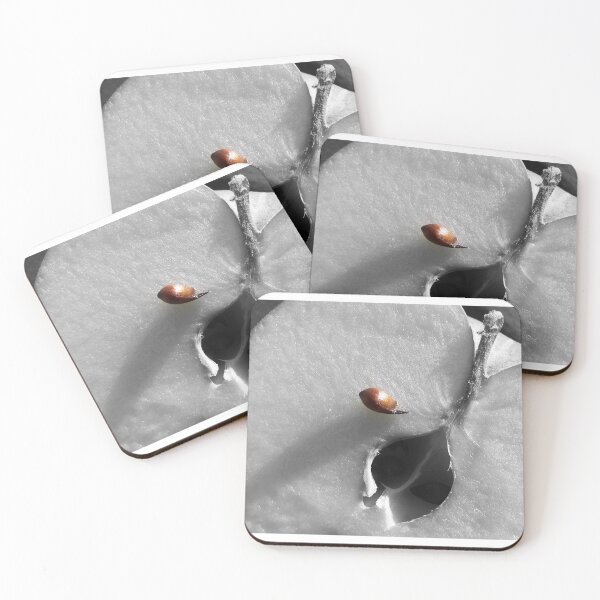 Item preview, An apple a day keeps the doctor away... designed and sold by Gisele Bedard.