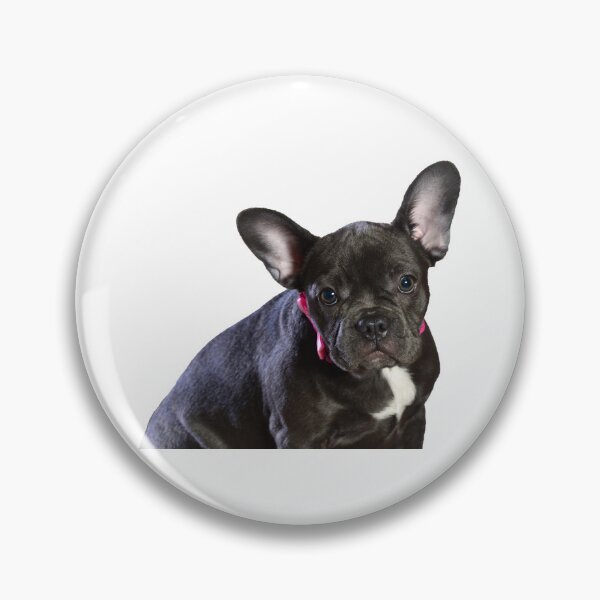Item preview, Beautiful French Bulldog designed and sold by Metaverse8.