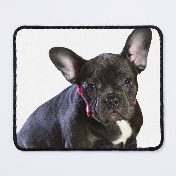 Item preview, Beautiful French Bulldog designed and sold by Metaverse8.