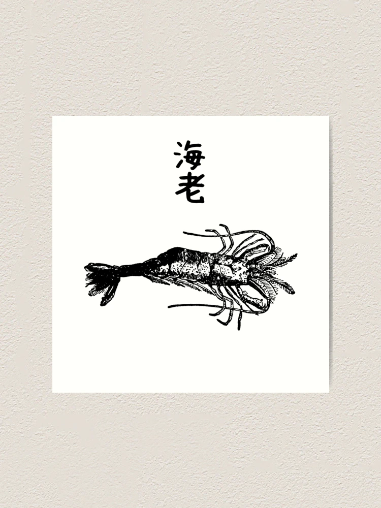 Shrimp 海老 Rare Scientific Wildlife Japanese Black White | Art Print