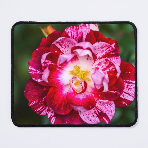 Item preview, Variegated   designed and sold by WesleyBarr.