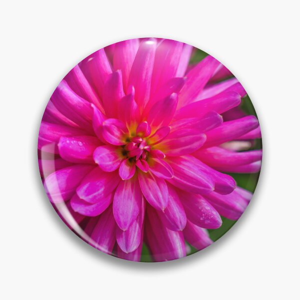Artikelvorschau, Rosa Dahlie entworfen und verkauft von WesleyBarr.
