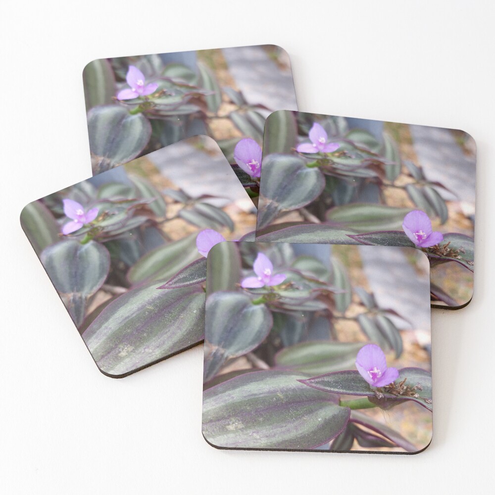 Item preview, Coasters (Set of 4) designed and sold by RudyYoder.