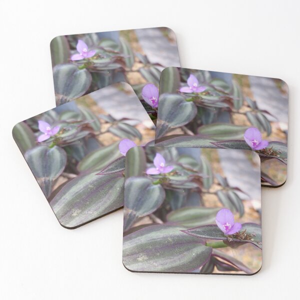 Item preview, Flowering Vine designed and sold by RudyYoder.