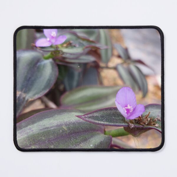 Item preview, Flowering Vine designed and sold by RudyYoder.