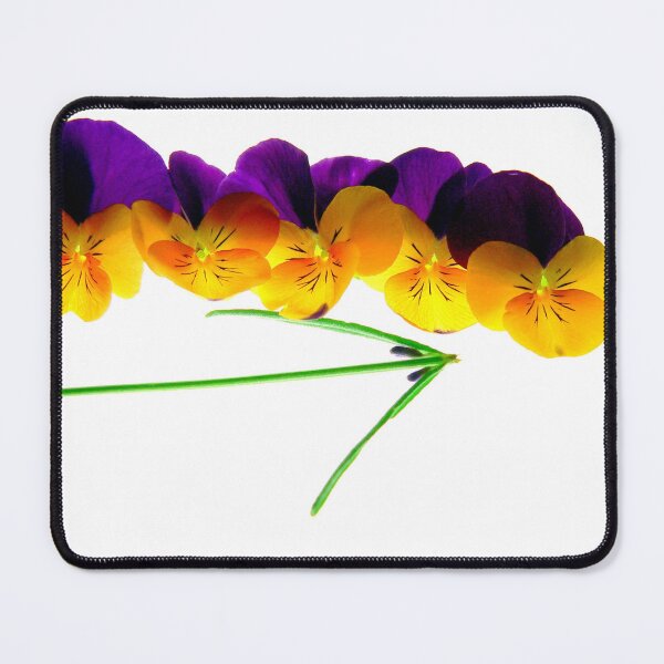 Item preview, Going south... designed and sold by Gisele Bedard.