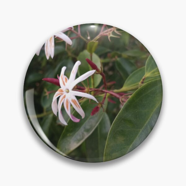 Item preview, Pretty Blooms  designed and sold by RudyYoder.