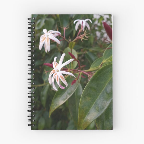 Item preview, Pretty Blooms  designed and sold by RudyYoder.