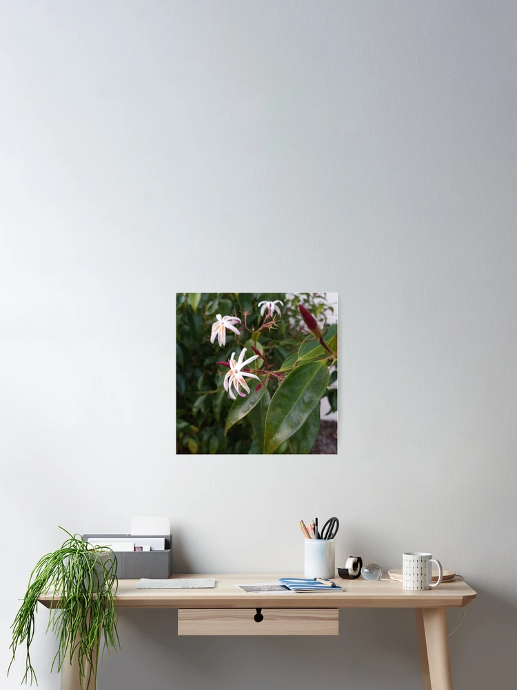 Thumbnail 2 of 3, Poster, Pretty Blooms designed and sold by RudyYoder.