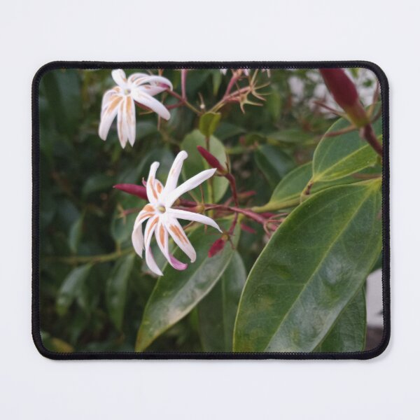Item preview, Pretty Blooms  designed and sold by RudyYoder.