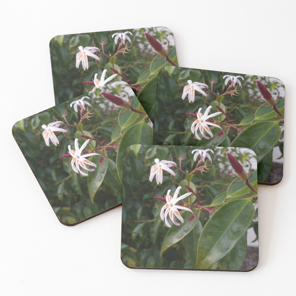 Item preview, Coasters (Set of 4) designed and sold by RudyYoder.