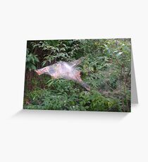 cobweb Greeting Card