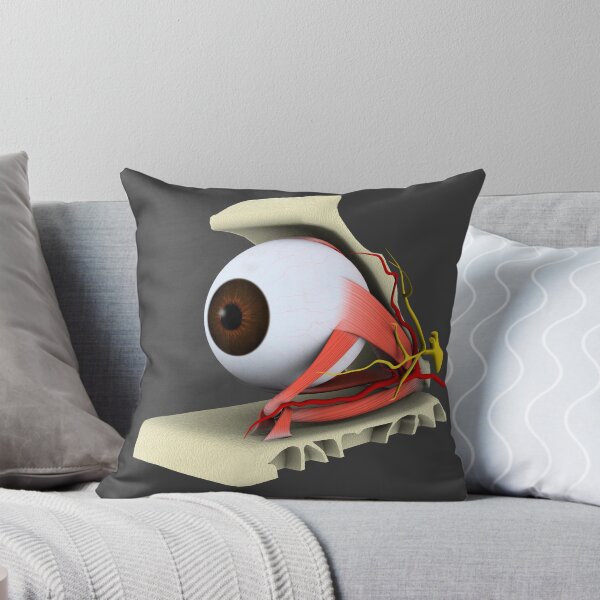 Artikelvorschau, Begriffsbild der Anatomie des menschlichen Auges. entworfen und verkauft von StocktrekImages.