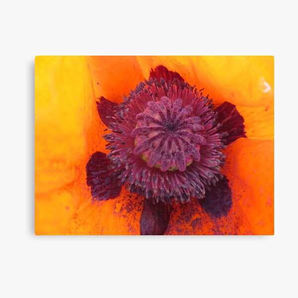 Poppy Heart Canvas Print