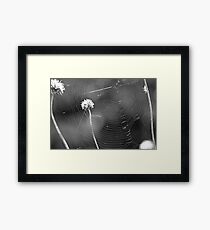 empty Framed Print