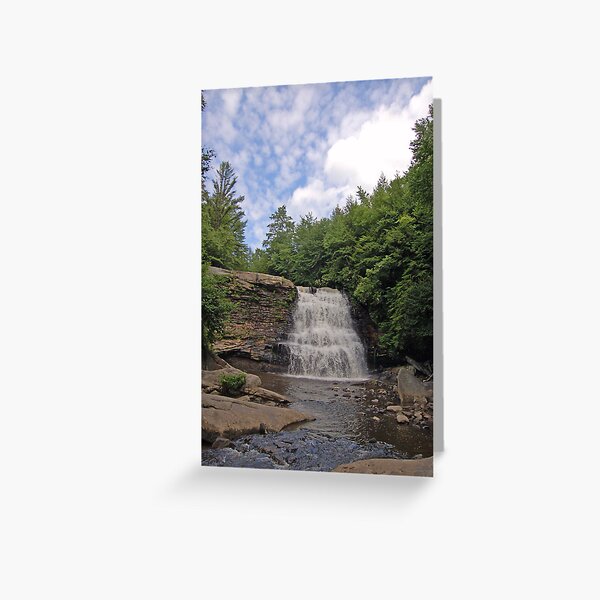 Item preview, Swallow Falls Deep Creek Maryland designed and sold by Sherry Hunsberger.