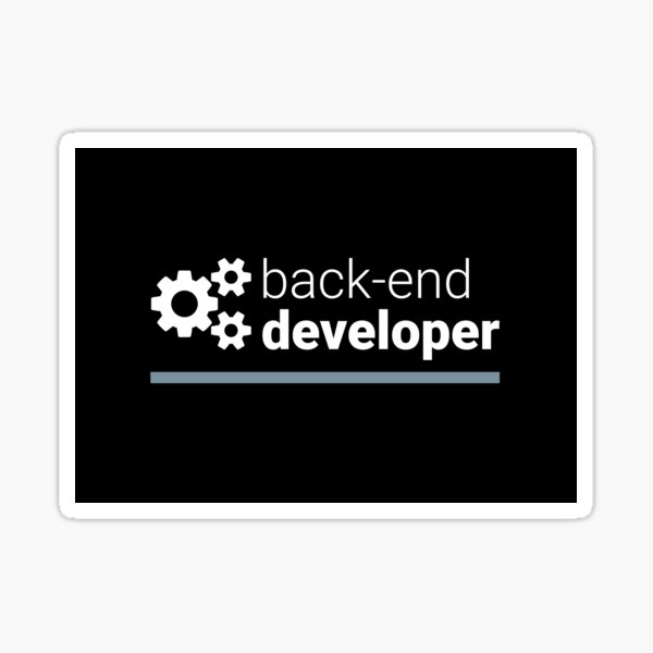 BACKEND DEVELOPER Bubble-free stickers — The Developer Shop