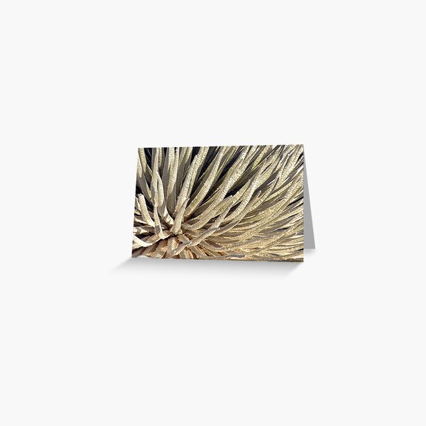 Soft Silversword Fingers Greeting Card