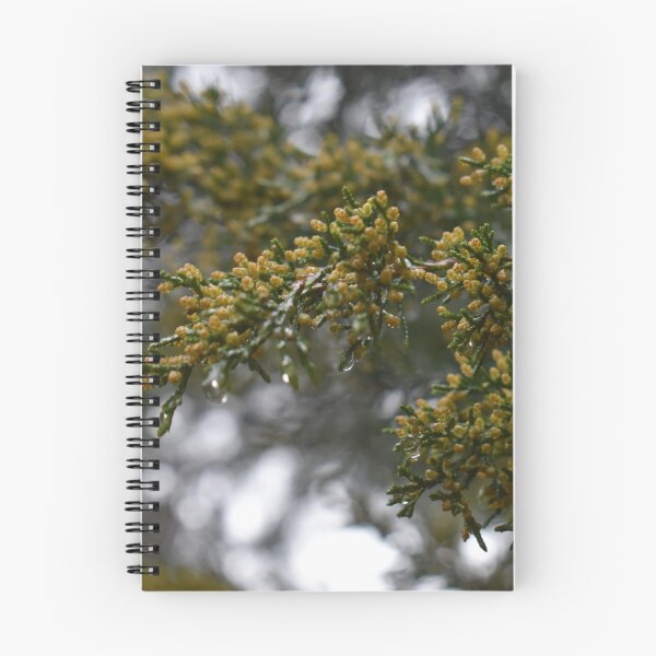Item preview, Rain designed and sold by Aleksandra2112.