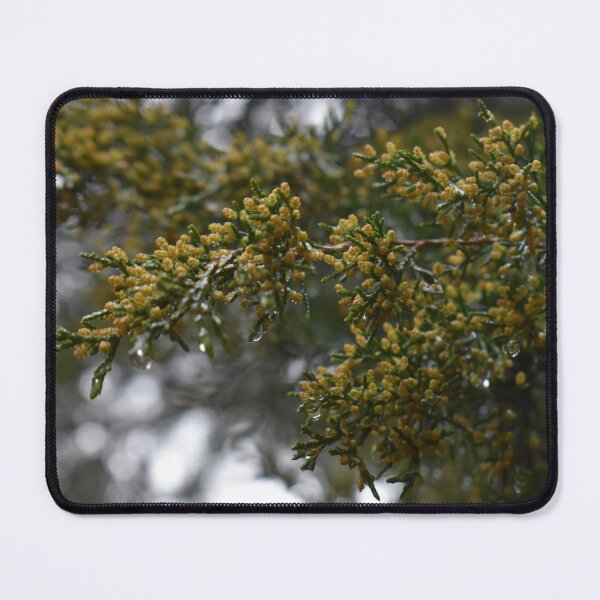 Item preview, Rain designed and sold by Aleksandra2112.