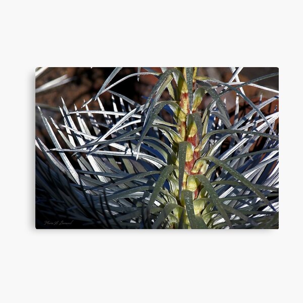 Item preview, Silversword designed and sold by Maria A. Barnowl.