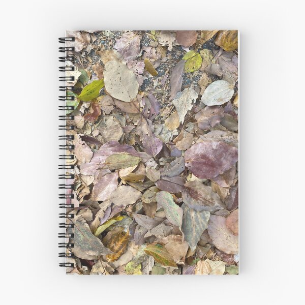 Item preview, Different Coloured Dead Leaves designed and sold by Sinemathk.