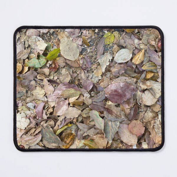 Item preview, Different Coloured Dead Leaves designed and sold by Sinemathk.