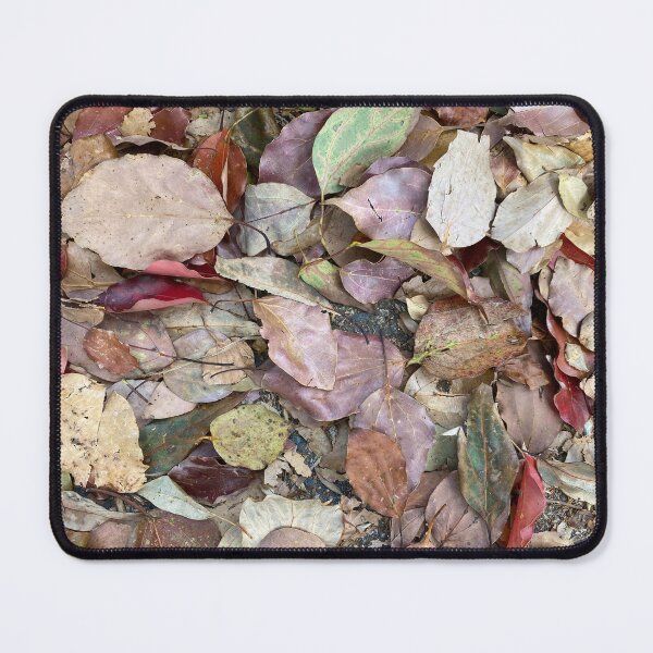 Item preview, Different Coloured Dead Leaves designed and sold by Sinemathk.