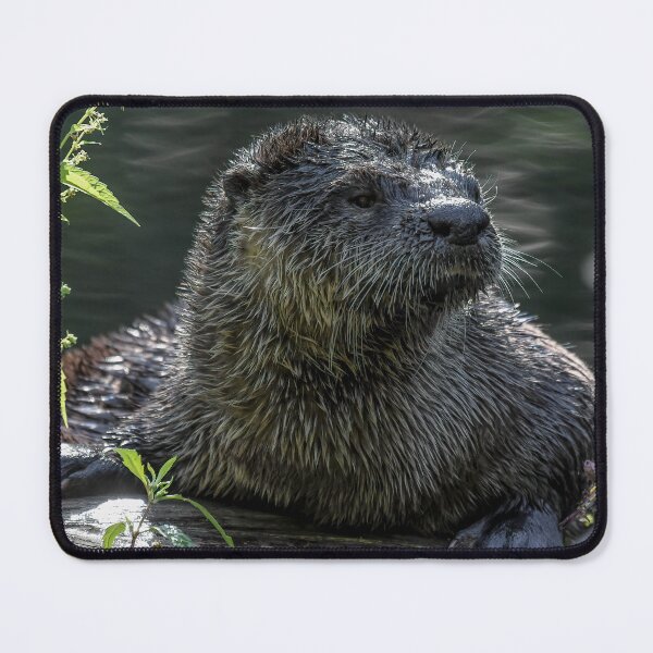 Item preview, Reflexionando designed and sold by WesleyBarr.
