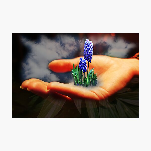 Composition Photographic Print