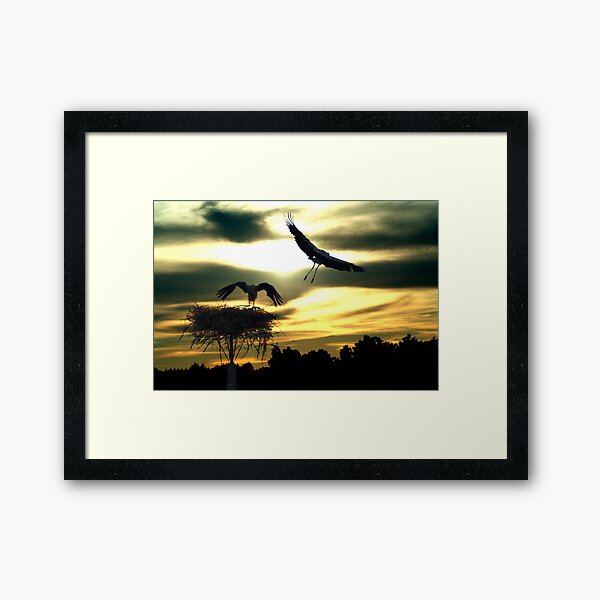Sunset Framed Art Print