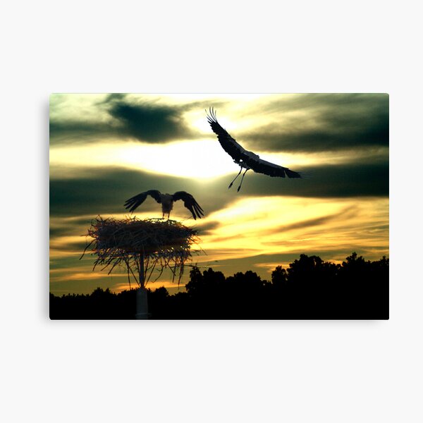 Sunset Canvas Print
