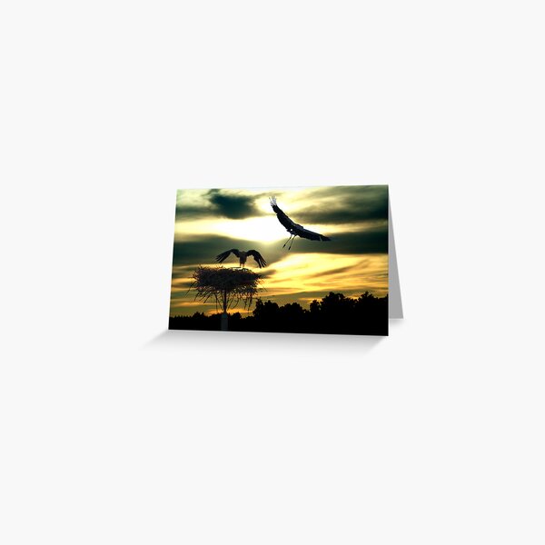 Sunset Greeting Card