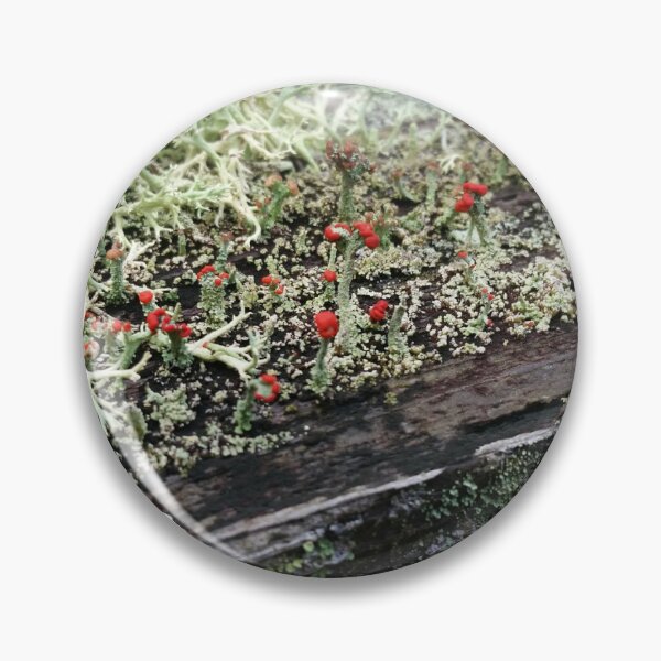 Artikelvorschau, Ich bin Lichen This Wood entworfen und verkauft von Evaschia.