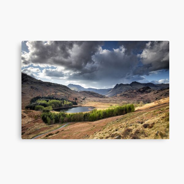 Blea Tarn and Langdale Pikes Canvas Print