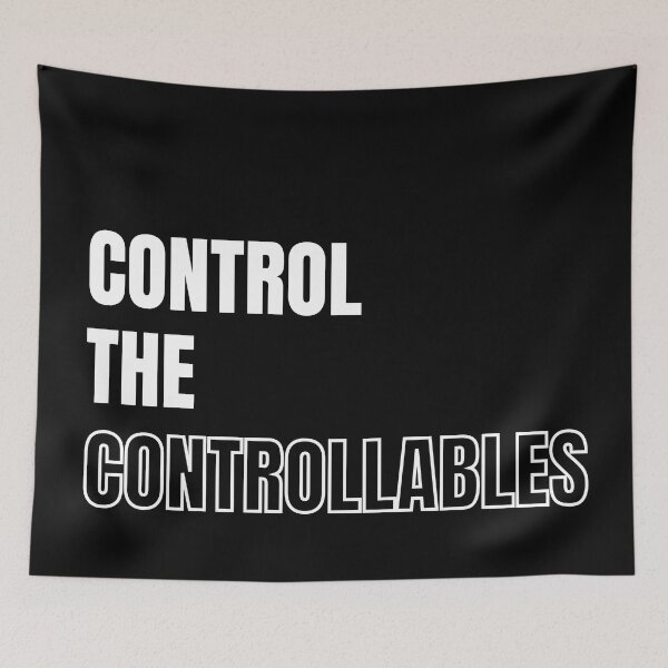 Item preview, Control the controllables. Text only design. White text. designed and sold by JellyBeenzz.