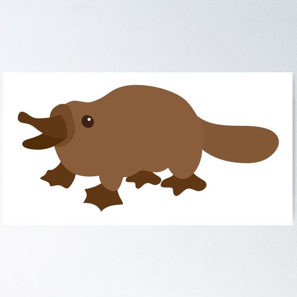 Item preview, new cute little platypus designed and sold by jazzydevil.