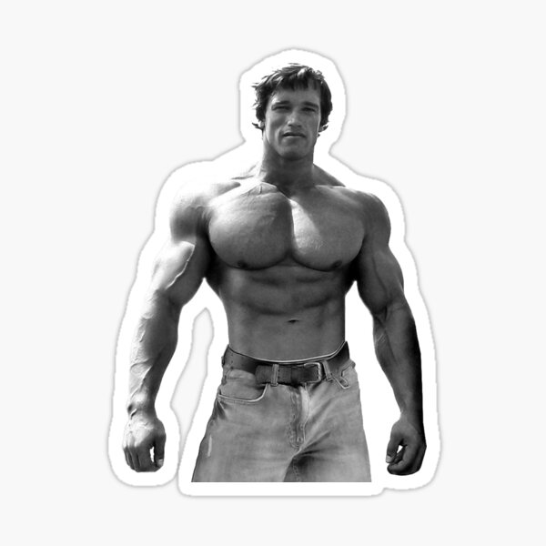 Big Muscles Stickers Redbubble - transparent abs muscle ripped body roblox