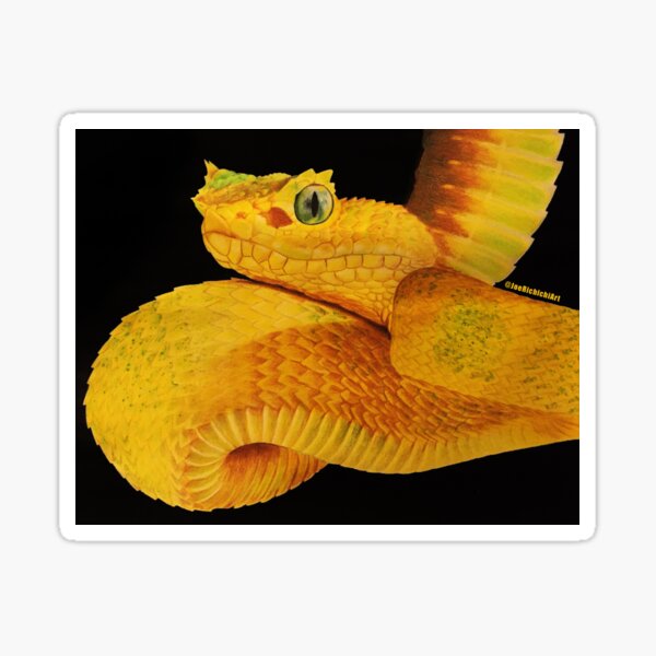 Eyelash Viper Sticker