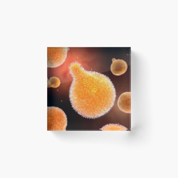 Item preview, Conceptual image of plasmodium causing malaria. designed and sold by StocktrekImages.