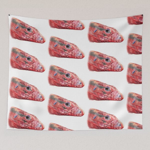 Item preview, Red Argentine Tegu designed and sold by Joe Richichi.