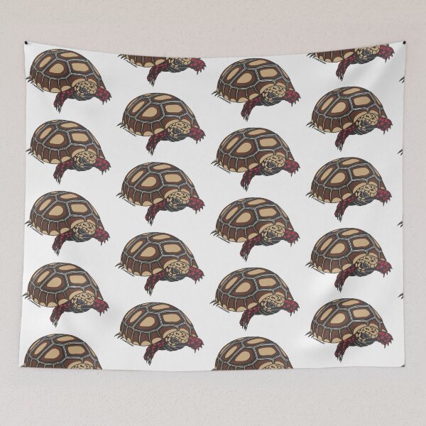 Aperçu de l'œuvre Redfoot Tortoise créée et vendue par Joe Richichi.