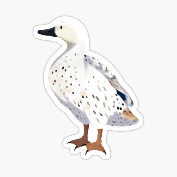 welsh harlequin Sticker
